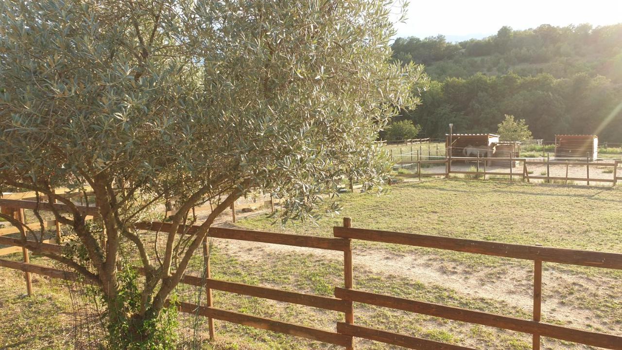 Chambre D'Hotes Le Petit Ranch Los Masos Ngoại thất bức ảnh