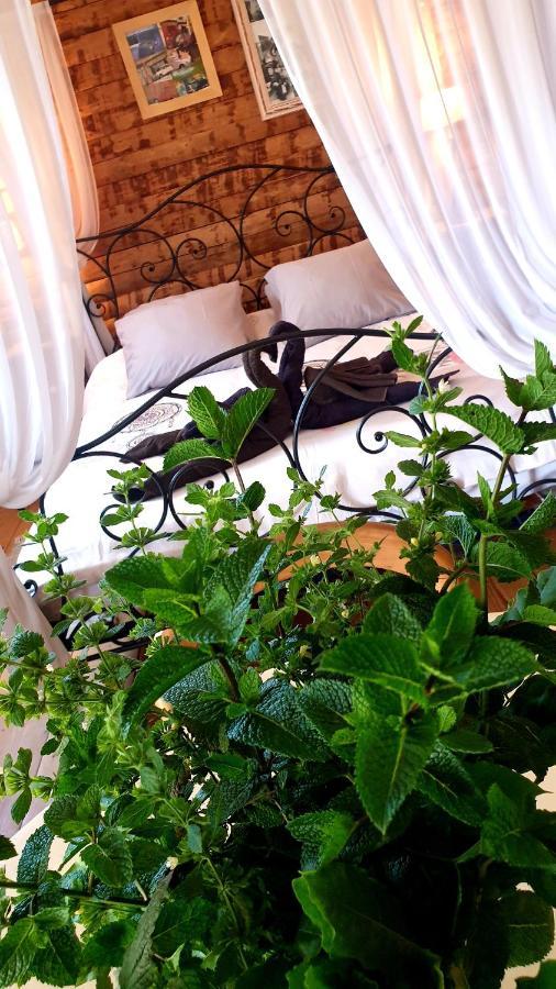 Chambre D'Hotes Le Petit Ranch Los Masos Ngoại thất bức ảnh