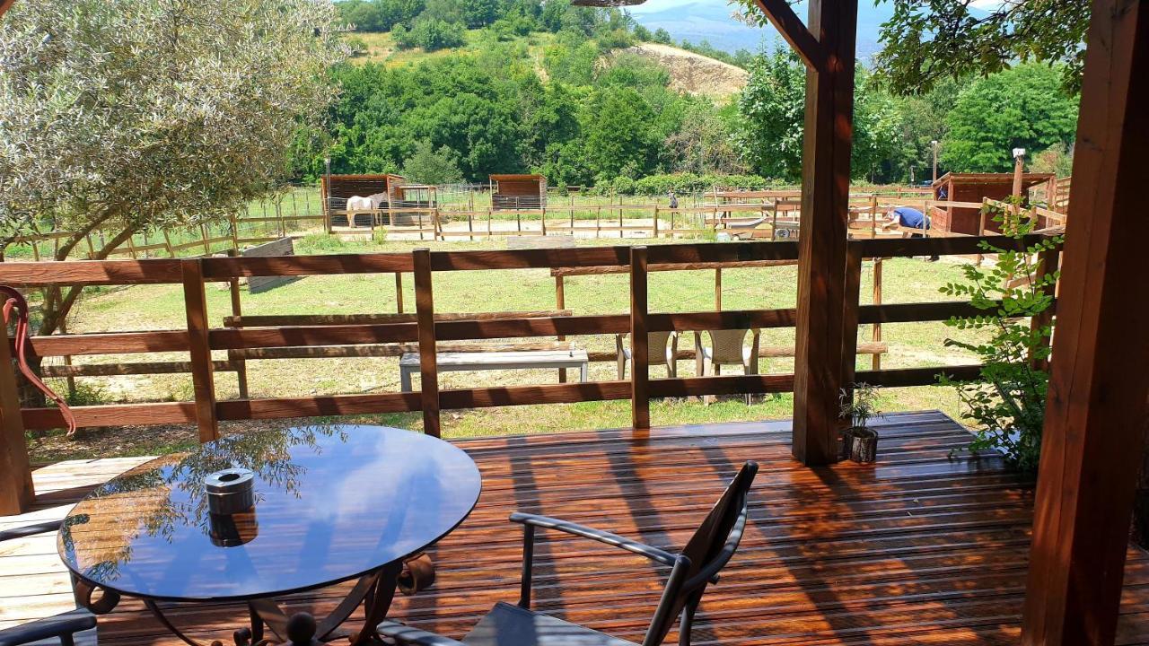 Chambre D'Hotes Le Petit Ranch Los Masos Ngoại thất bức ảnh