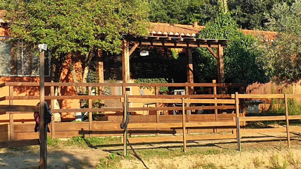 Chambre D'Hotes Le Petit Ranch Los Masos Ngoại thất bức ảnh
