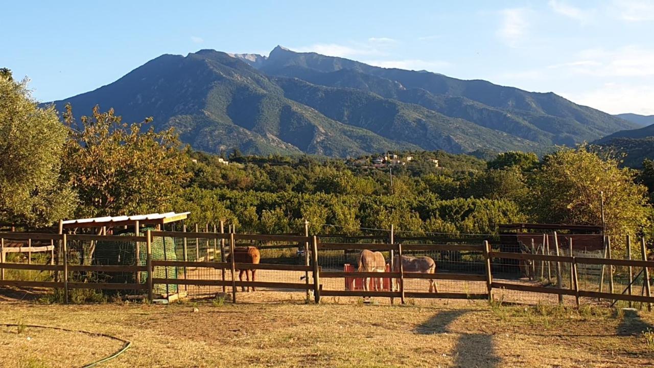 Chambre D'Hotes Le Petit Ranch Los Masos Ngoại thất bức ảnh